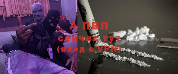 PSILOCYBIN Балабаново