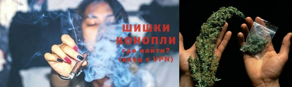 PSILOCYBIN Балабаново