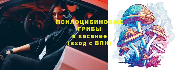 стафф Баксан